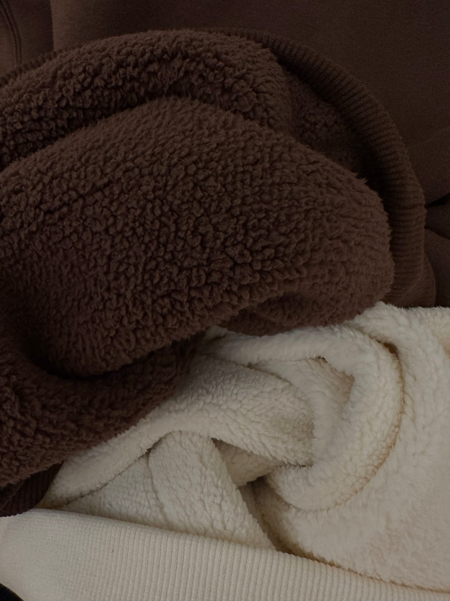 Tao Collective Teddy Fleece Lined Hoodie- Cream