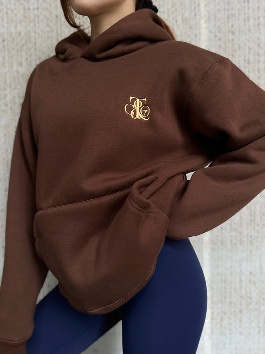 Tao Collective Teddy Fleece Lined Hoodie- Chocolate